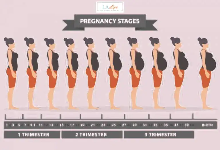 First Trimester (Weeks 1–12): Early Changes You Might Not Notice Lewisham